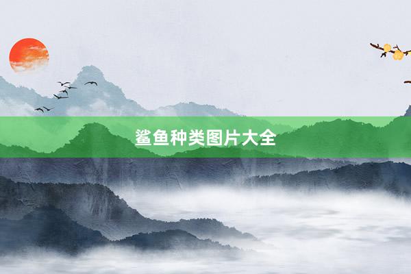 鲨鱼种类图片大全